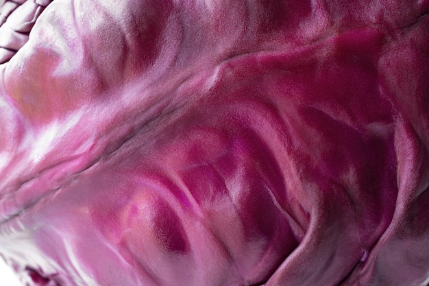 Close-up texture de chou rouge