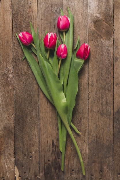 Close-up de tulipes sur la table en bois