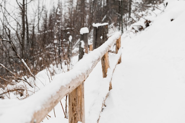 Photo gratuite clôture en bois en hiver