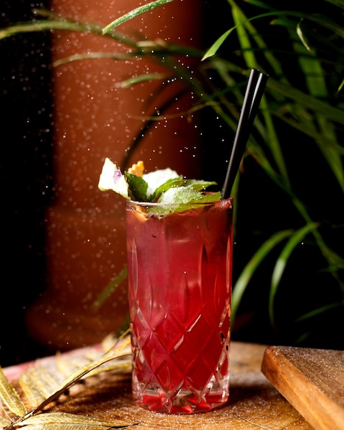 Cocktail rafraîchissant aux feuilles de menthe