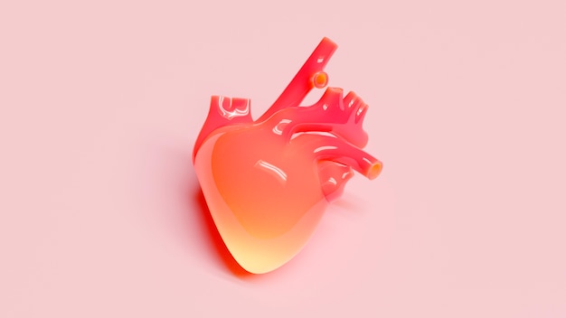 Photo gratuite coeur anatomique avec fond rose