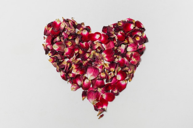 Coeur décoratif rouge de pétales de fleurs