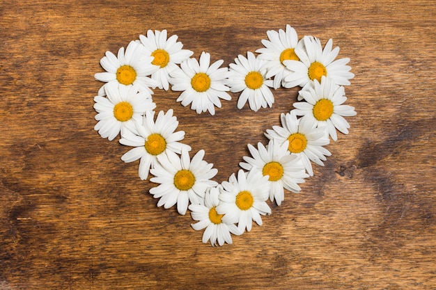 Photo gratuite cœur ornemental de fleurs blanches