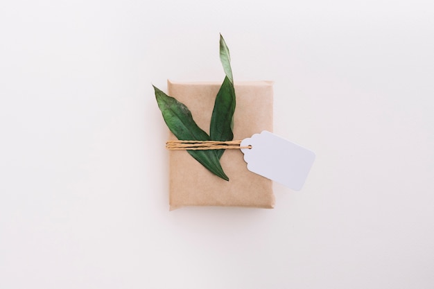 Coffret cadeau enveloppé marron simple attaché avec étiquette et feuilles sur fond blanc