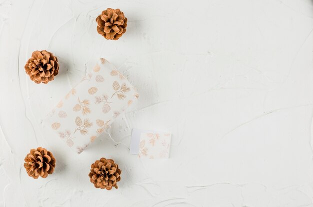 Coffret cadeau avec petite carte postale entre des chicots