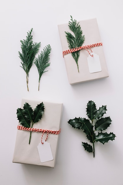 Photo gratuite coffrets cadeaux avec des plantes vertes sur tableau blanc