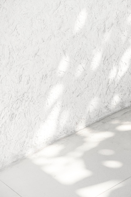 Coin blanc vide avec ombre de feuille tropicale