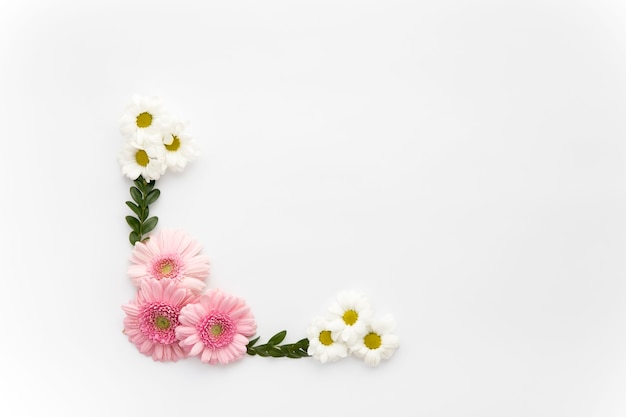 Coin des marguerites et des feuilles