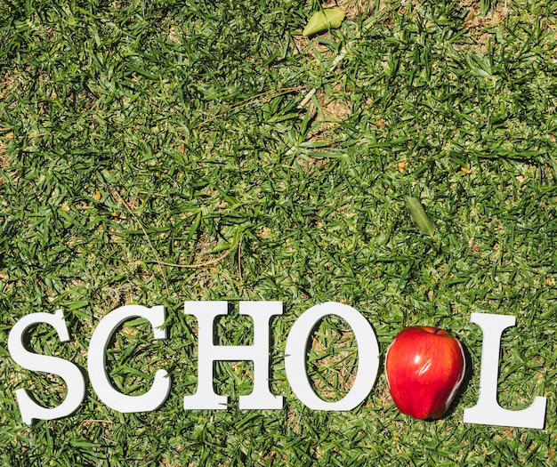 École de mot blanc sur l&#39;herbe