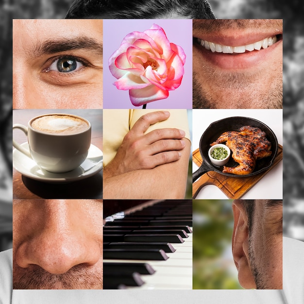 Photo gratuite collage des cinq sens avec piano