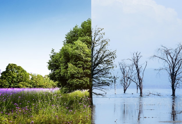 Collage de concept de changement climatique