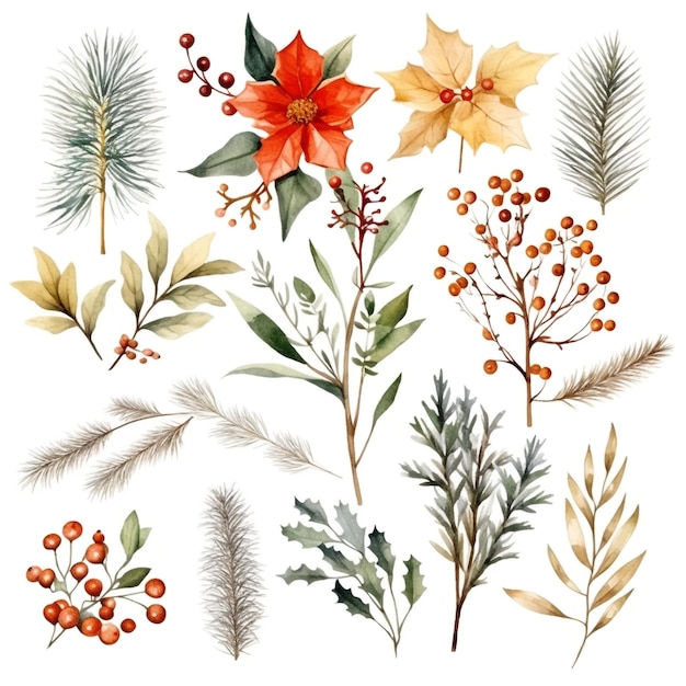 Photo gratuite collection de feuilles et de fleurs de noël en aquarelle