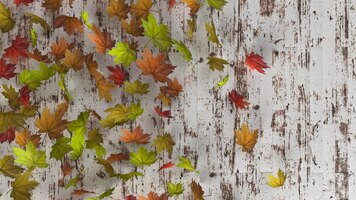 Collection de feuilles isolées feuilles d'érable automne coloré isolés sur fond blanc
