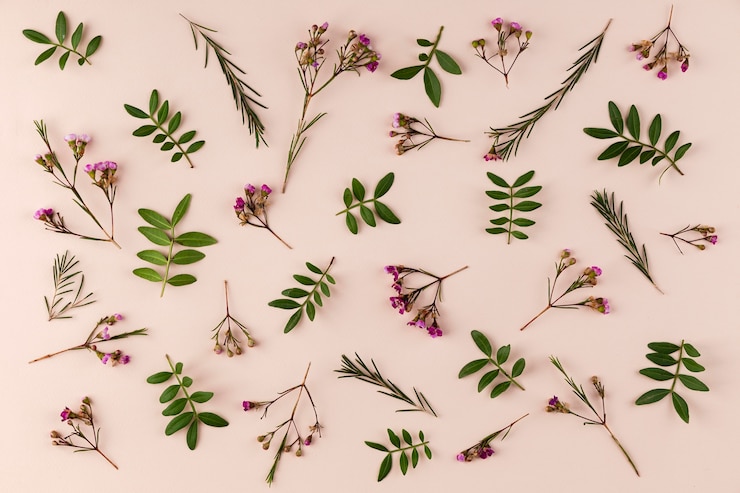 Photo gratuit collection de fleurs vue de dessus sur table