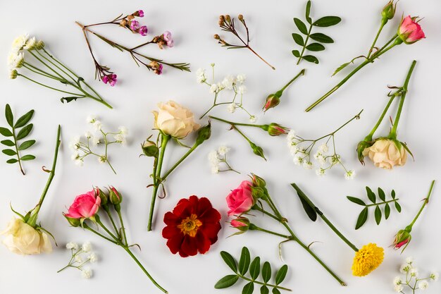 Collection de fleurs vue de dessus