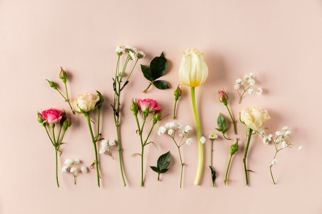 Collection de fleurs vue de dessus