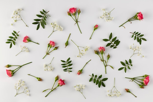 Collection de fleurs vue de dessus