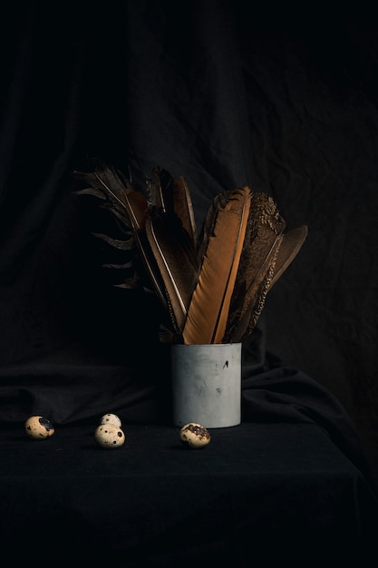 Collection d&#39;oeufs de caille près de plumes en boîte