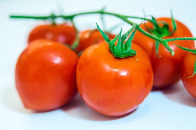 Collection de tomates aux ombres légères, isolé sur blanc,