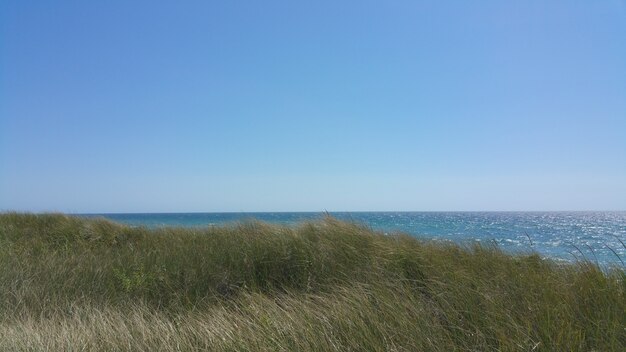 Colline au-dessus de la mer