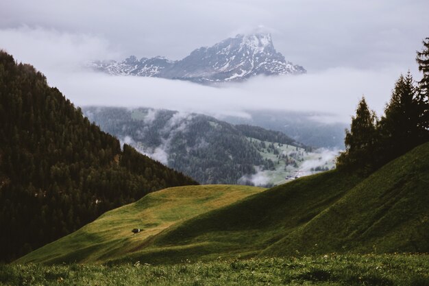 Colline couverte d'herbe