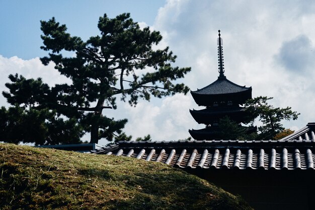 Colline herbeuse avec des bâtiments de style japonais au loin