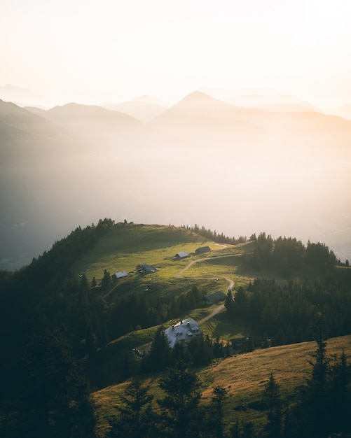 Colline verte avec des routes, des maisons et des arbres