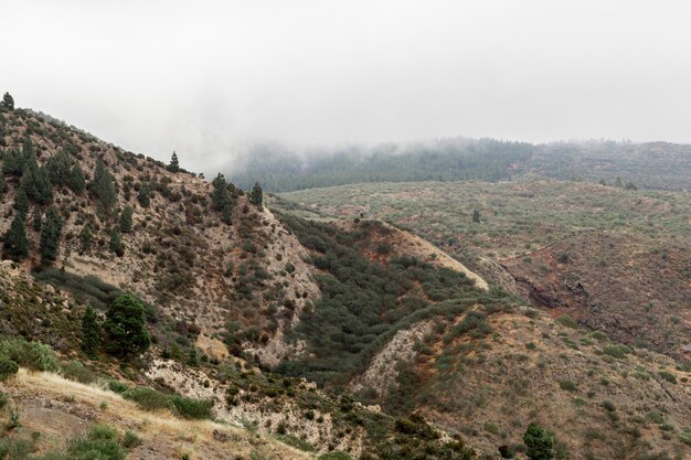 Collines vides avec ciel nuageux