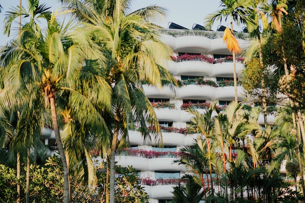 Complexe hôtelier parmi les palmiers en été