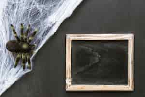 Photo gratuite composition de l'ardoise d'halloween avec de l'araignée
