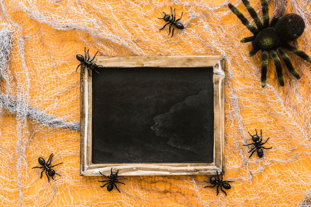 Photo gratuite composition de l'ardoise d'halloween avec une famille d'araignées