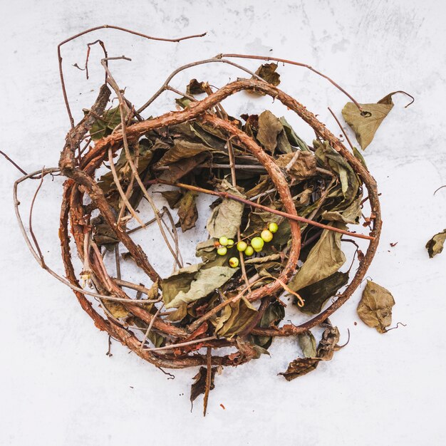 Composition avec des branches et sèche les feuilles