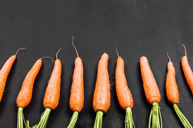 Composition de la carotte