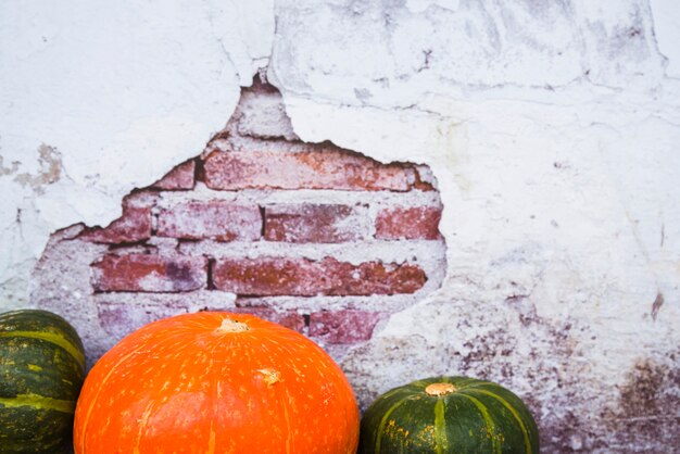 Composition de citrouilles sur un mur de briques