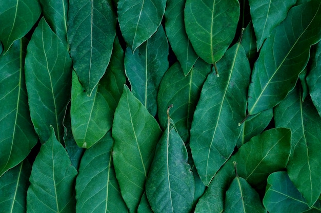 Composition de cuisine moderne avec des ingrédients sains