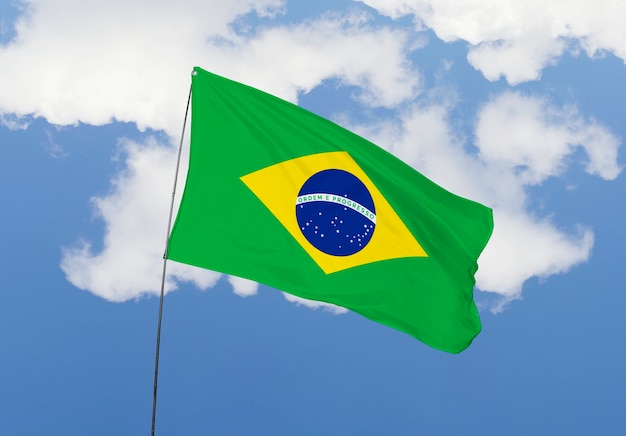 Photo gratuite composition du drapeau brésilien