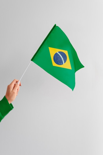 Photo gratuite composition du drapeau brésilien