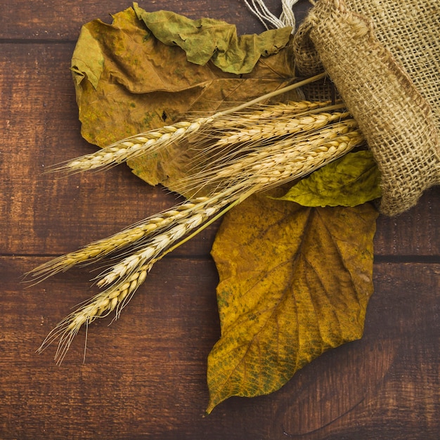 Composition avec épis de blé et sac de jute