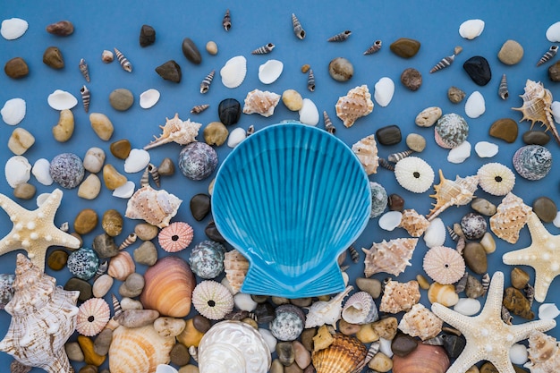 Composition d&#39;été avec de fantastiques coquilles marines et étoiles de mer