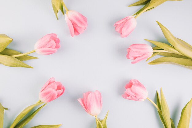 Composition de la fête des mères avec des roses