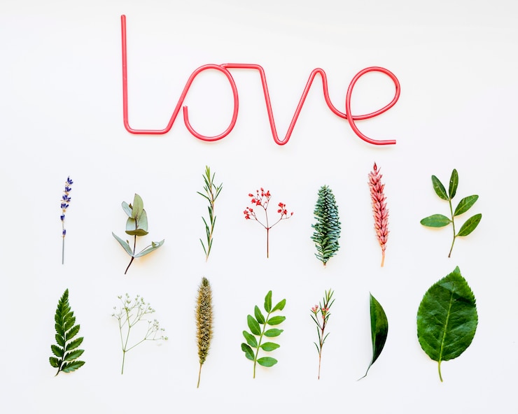 Photo gratuit composition avec des feuilles et de l&#39;amour