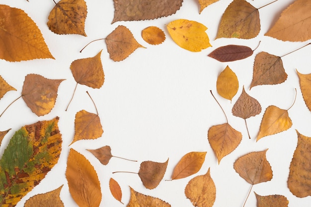 Composition des feuilles d&#39;automne formant un cercle