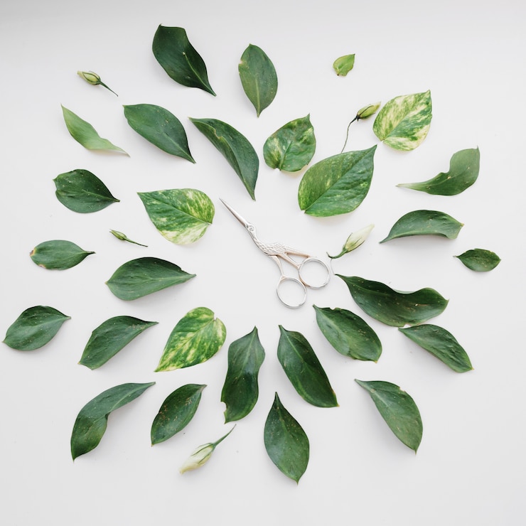 Photo gratuit composition de feuilles et ciseaux
