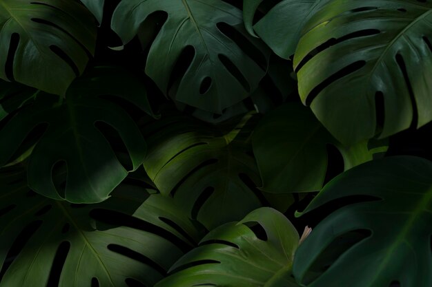 composition de feuilles de palmier vert 3d