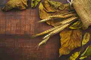 Photo gratuite composition avec feuilles séchées et sac de jute