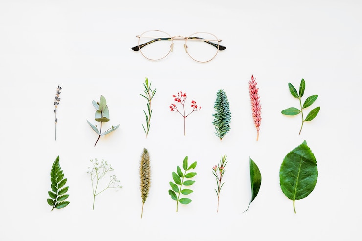 Photo gratuit composition avec des feuilles et des verres
