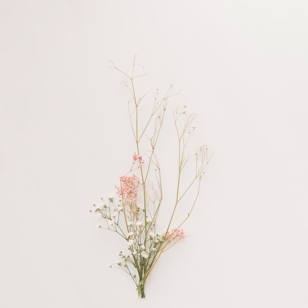 Photo gratuite composition de fines branches de plantes