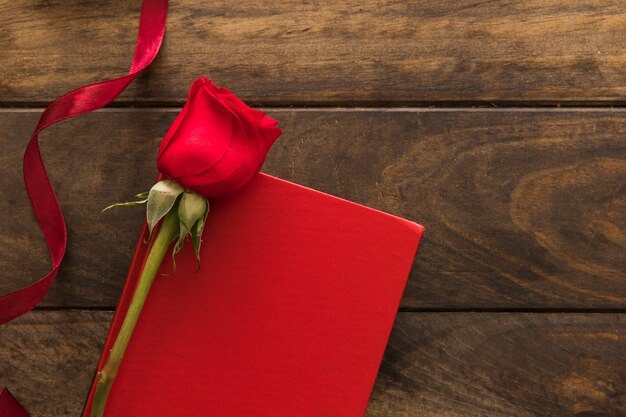 Composition de fleur rouge près de ruban et papier