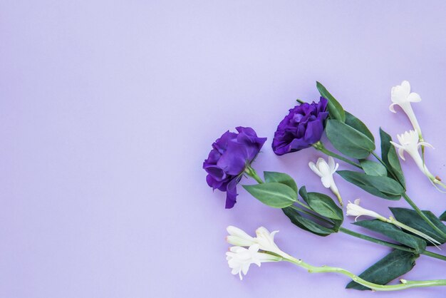 Composition de fleurs blanches et bleues