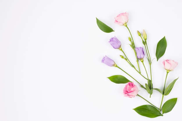 Composition de fleurs dans des couleurs pastel